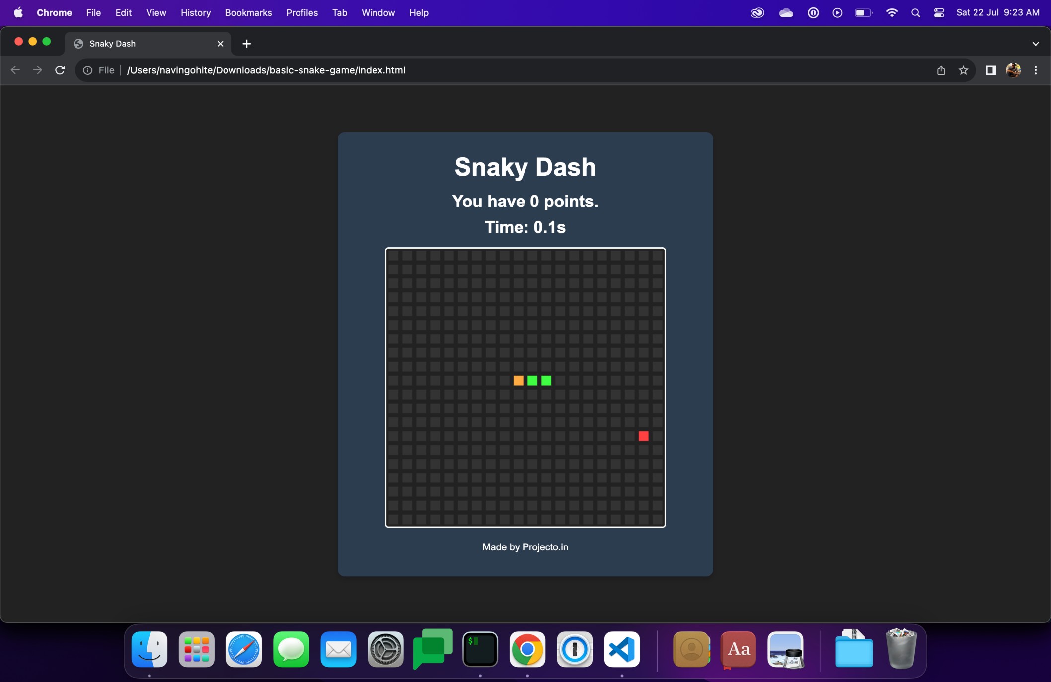 Snaky Dash A Classic Snake Game with Source Code